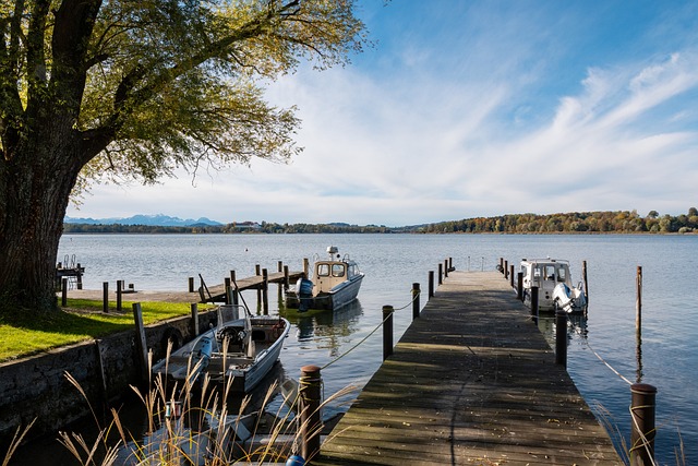 员的健康状 员的健康状