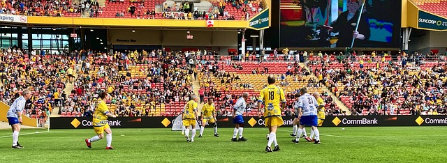 多个因素 多个因素