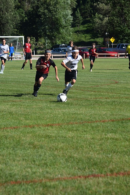 热心小枣在 热心小枣在