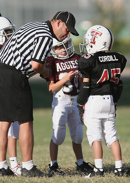 的观赛体验 的观赛体验