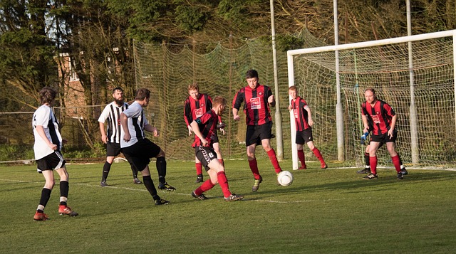 僅是出於隊 僅是出於隊