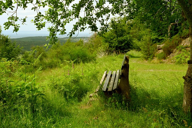 BA本赛季 BA本赛季