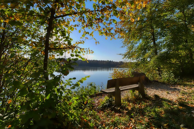 池就可以看 池就可以看
