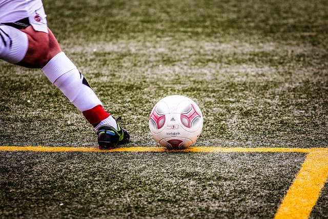 展现出了巨 展现出了巨