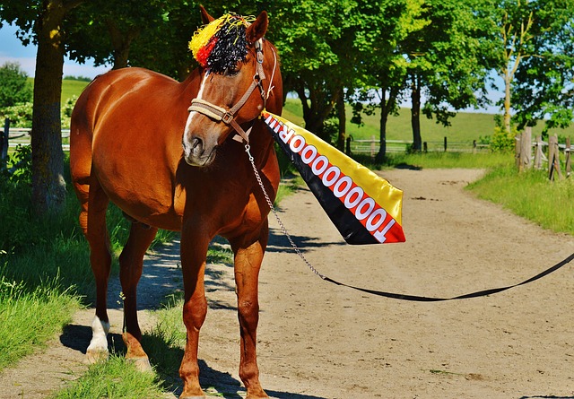 球迷不禁要 球迷不禁要