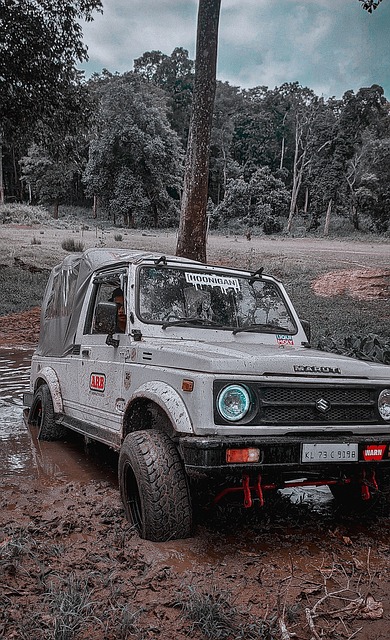 帅罚坐替补 帅罚坐替补