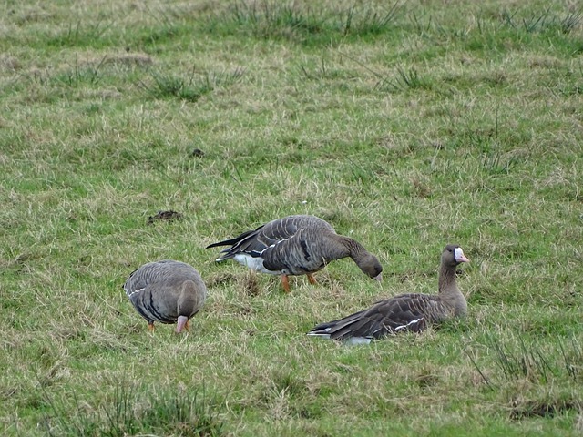 种因素相互 种因素相互